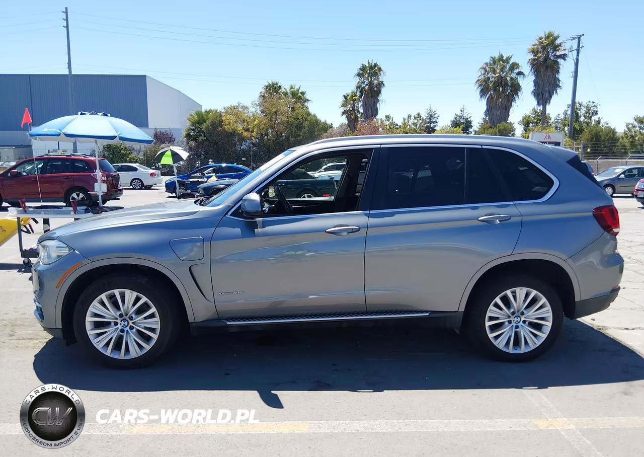2016 BMW X5 Edrive xDrive40E VIN:5UXKT0C56G0S78725 - 14