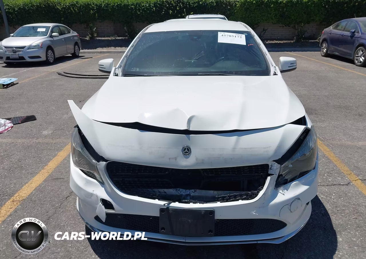 2019 Mercedes-Benz Cla 250 VIN:WDDSJ4EB8KN742939 - 13