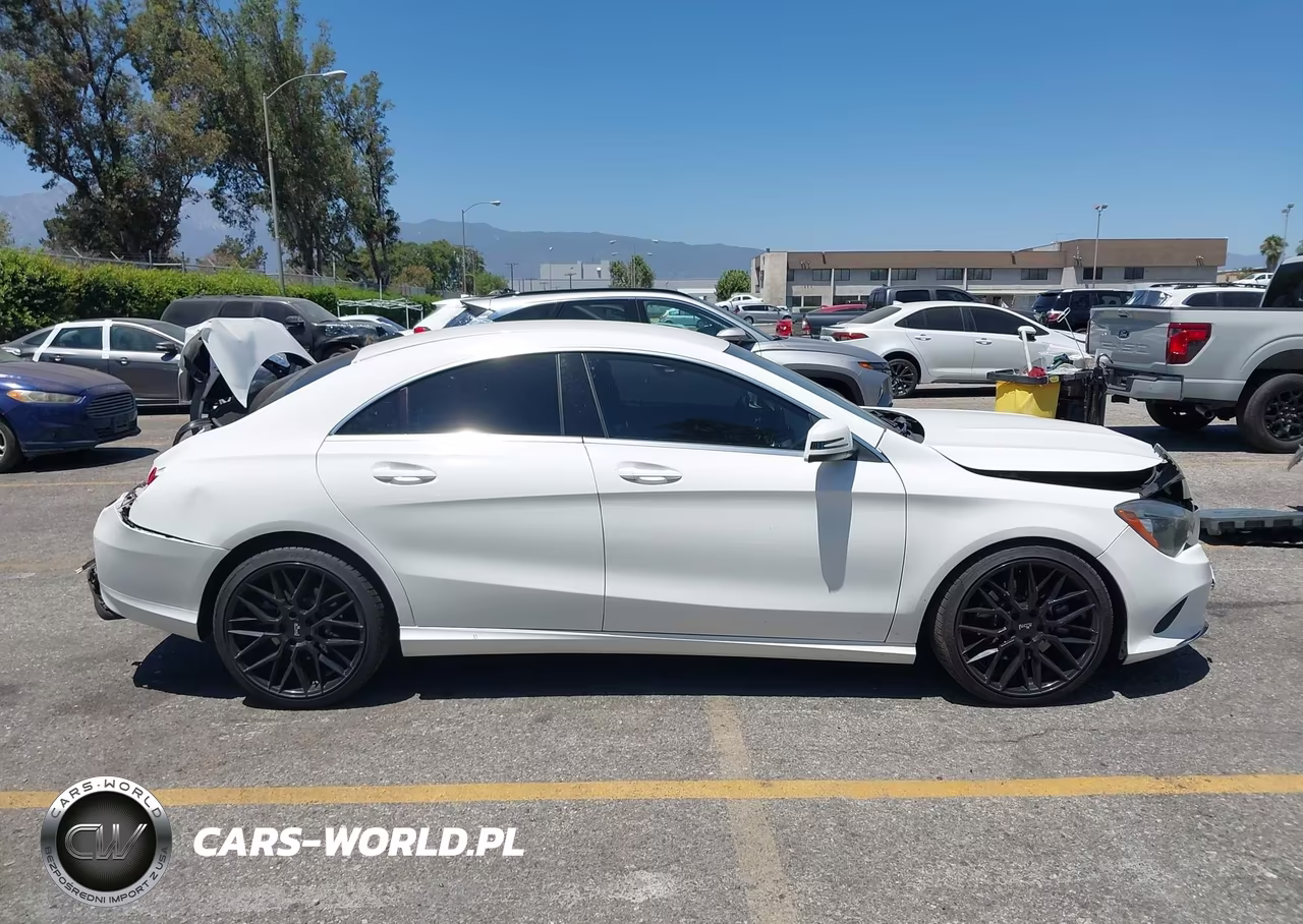 2019 Mercedes-Benz Cla 250 VIN:WDDSJ4EB8KN742939 - 14