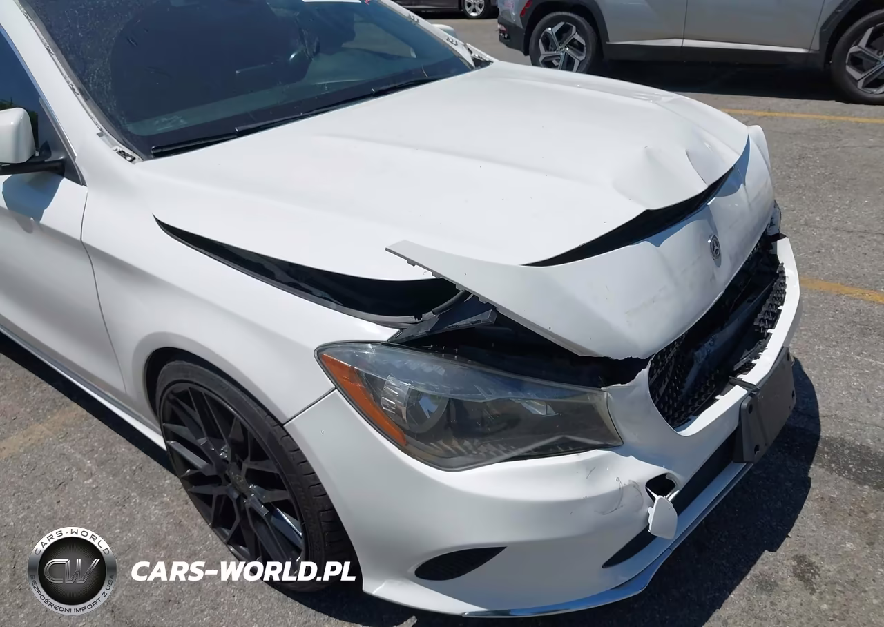 2019 Mercedes-Benz Cla 250 VIN:WDDSJ4EB8KN742939 - 18