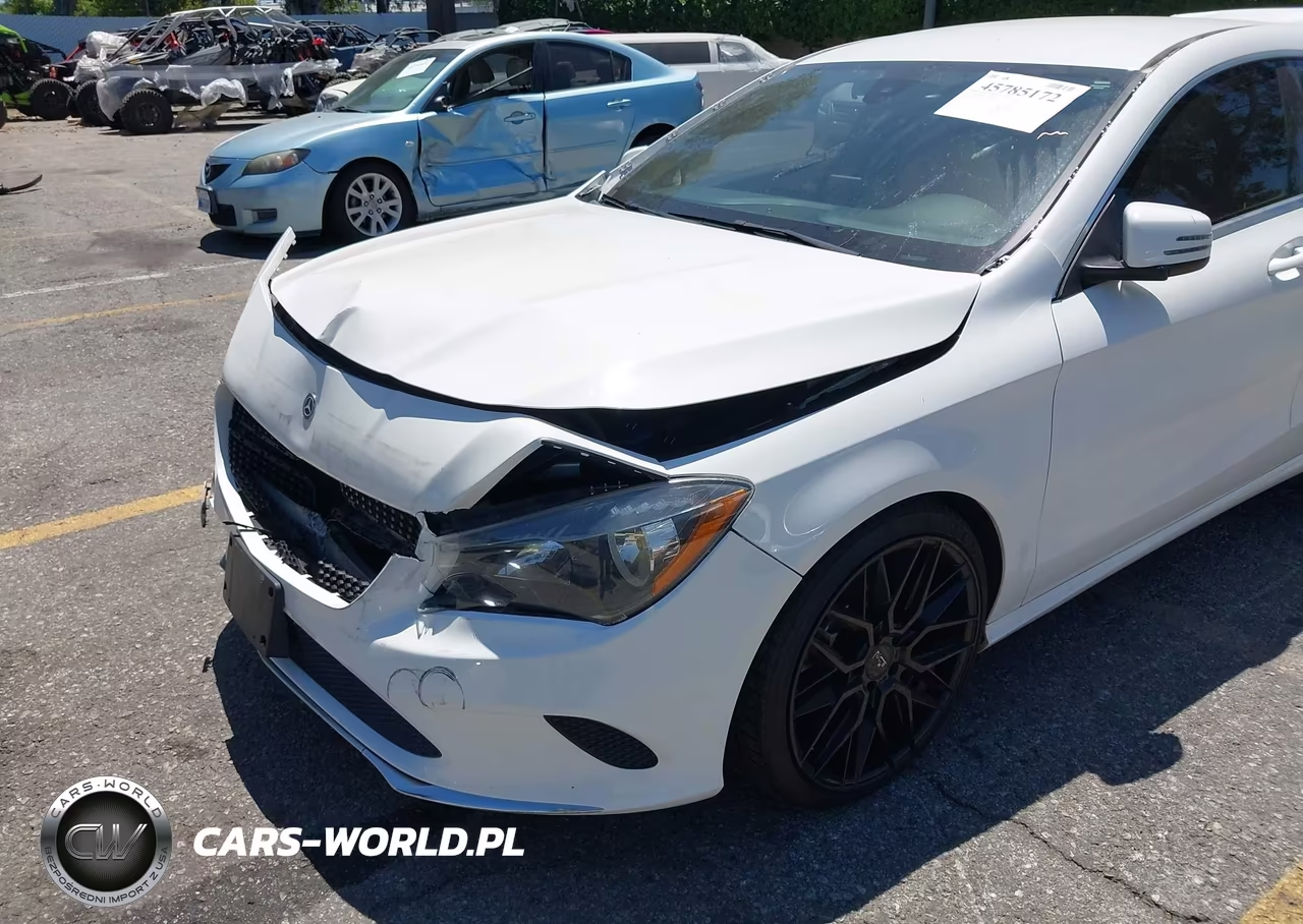 2019 Mercedes-Benz Cla 250 VIN:WDDSJ4EB8KN742939 - 19