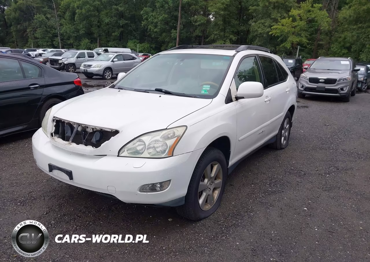 2004 Lexus Rx 330 VIN:JTJHA31U440046419 - 2