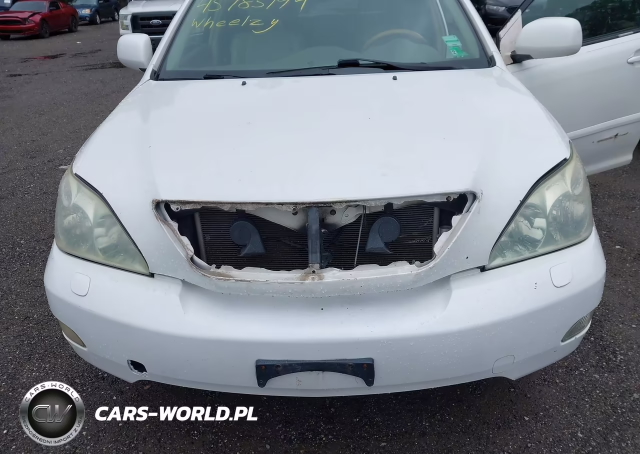 2004 Lexus Rx 330 VIN:JTJHA31U440046419 - 6