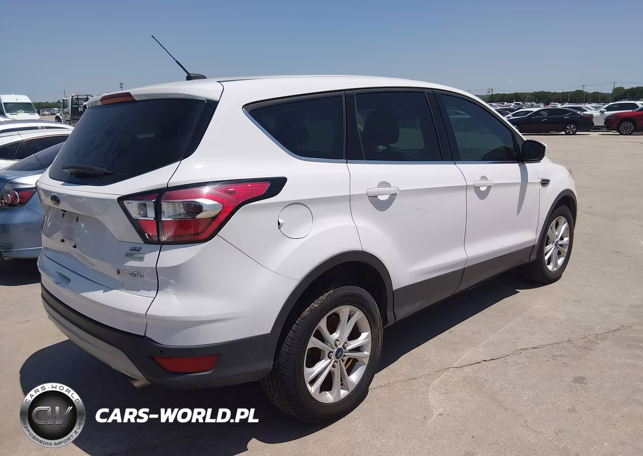 2017 Ford Escape Se VIN:1FMCU0GD3HUD30354 - 4