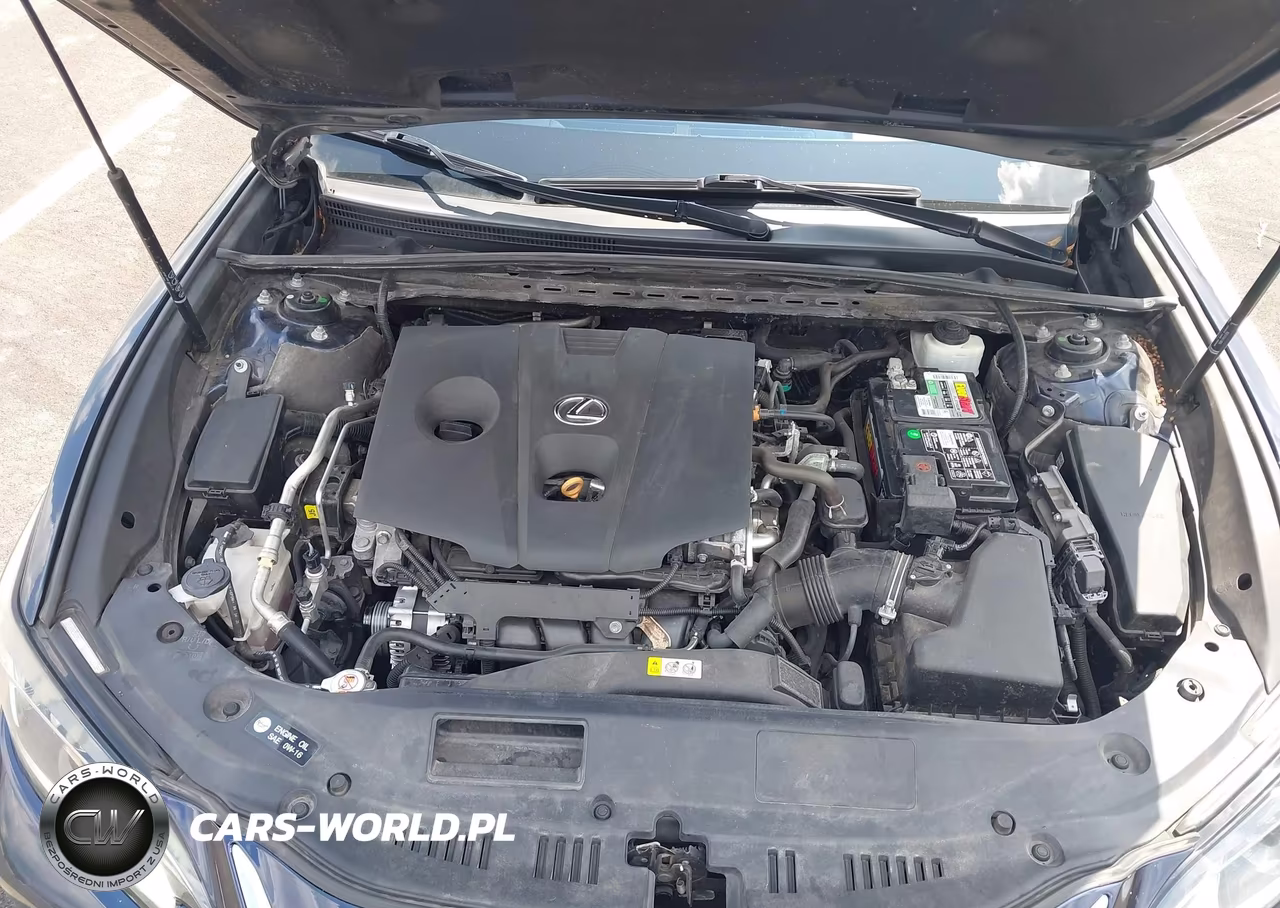2021 Lexus Es 250 VIN:58AD11D1XMU002087 - 10