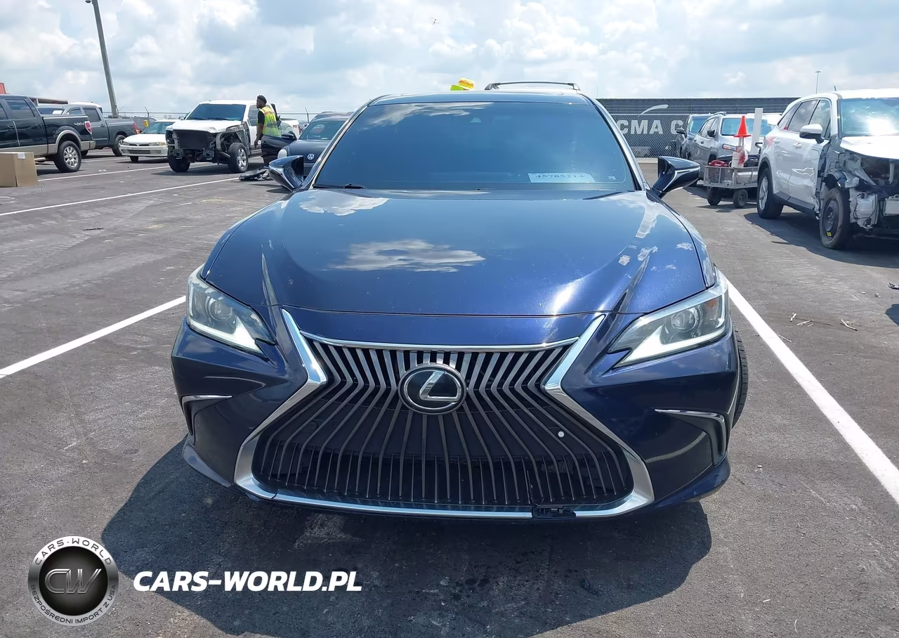 2021 Lexus Es 250 VIN:58AD11D1XMU002087 - 11