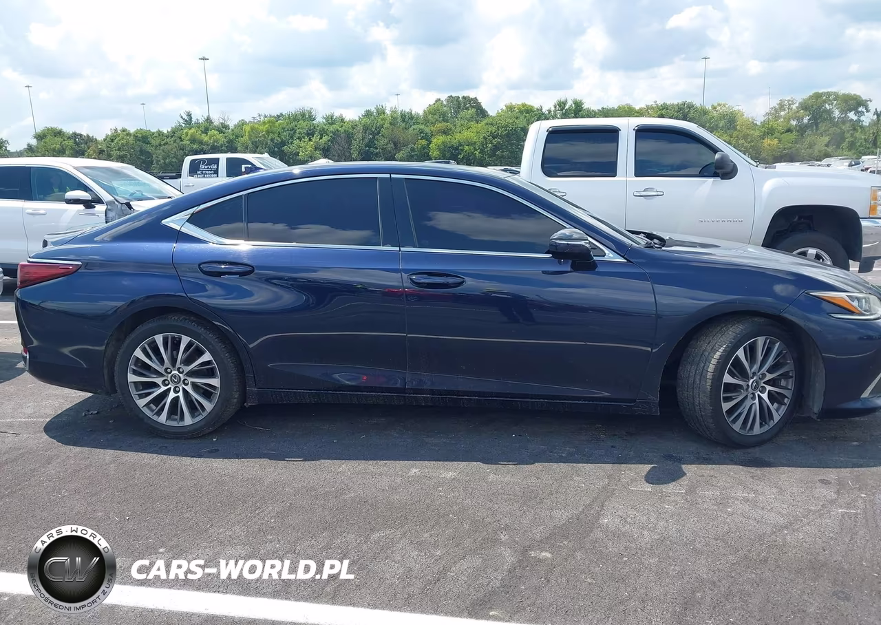 2021 Lexus Es 250 VIN:58AD11D1XMU002087 - 12