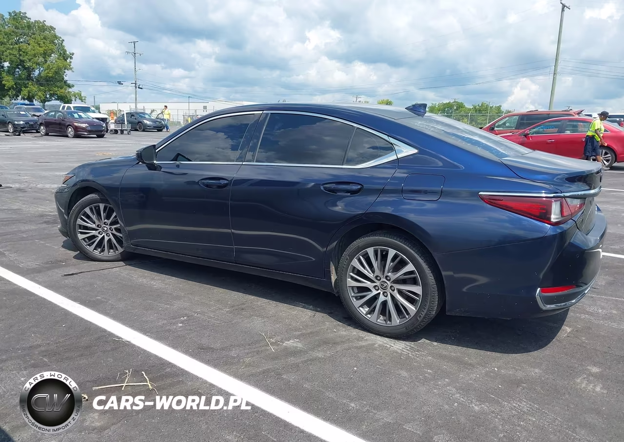 2021 Lexus Es 250 VIN:58AD11D1XMU002087 - 13