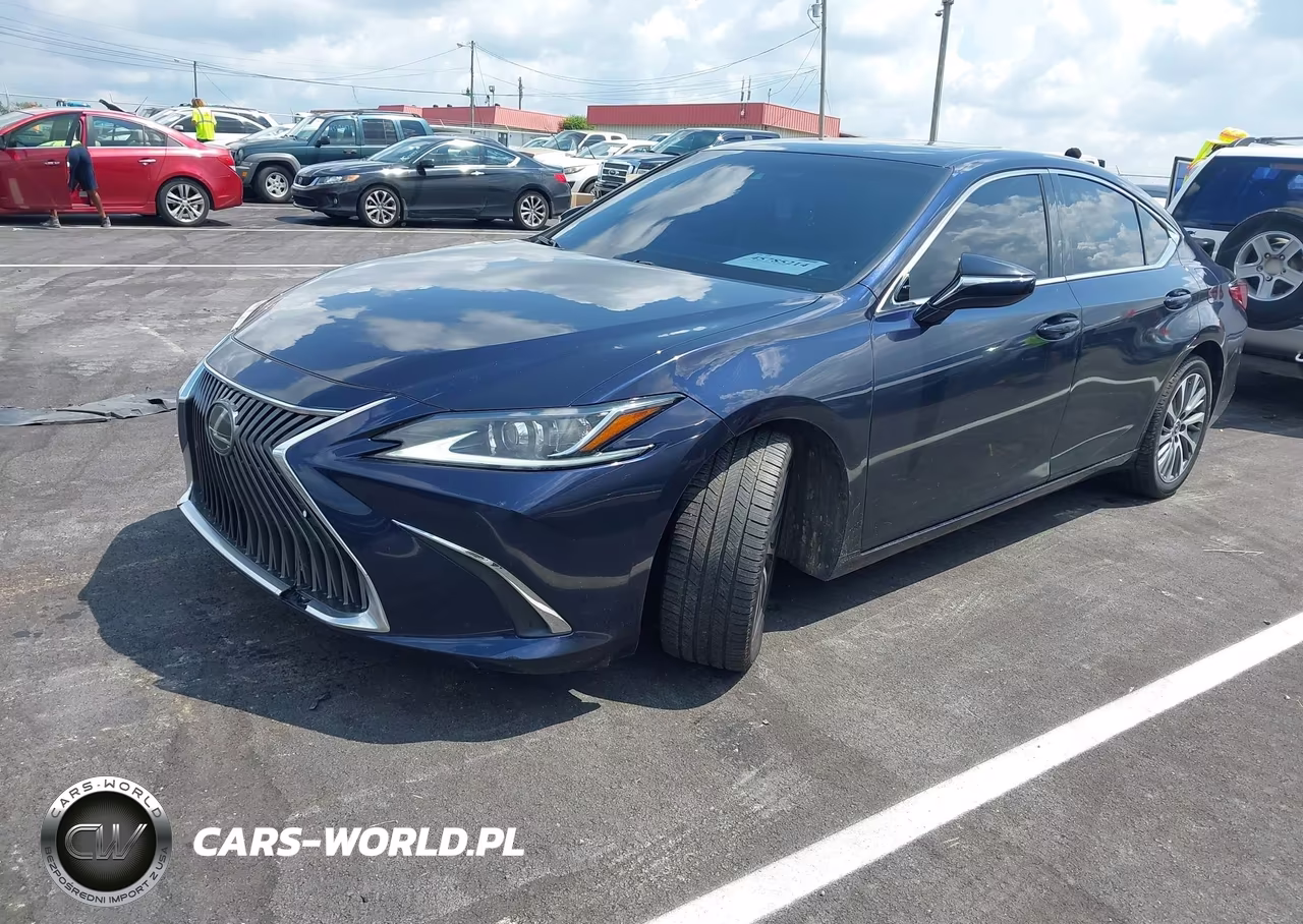 2021 Lexus Es 250 VIN:58AD11D1XMU002087 - 2