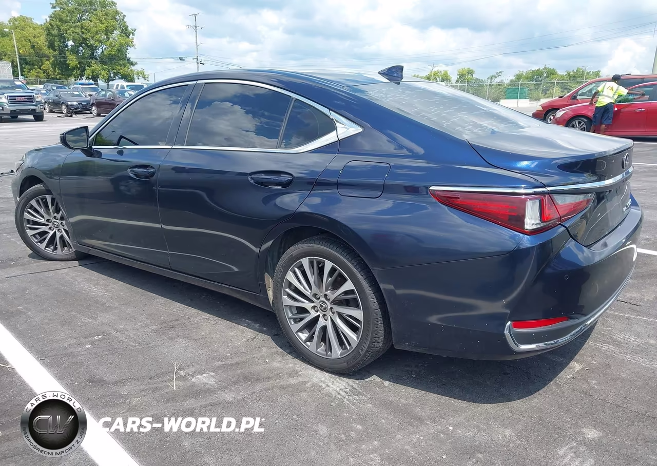 2021 Lexus Es 250 VIN:58AD11D1XMU002087 - 3