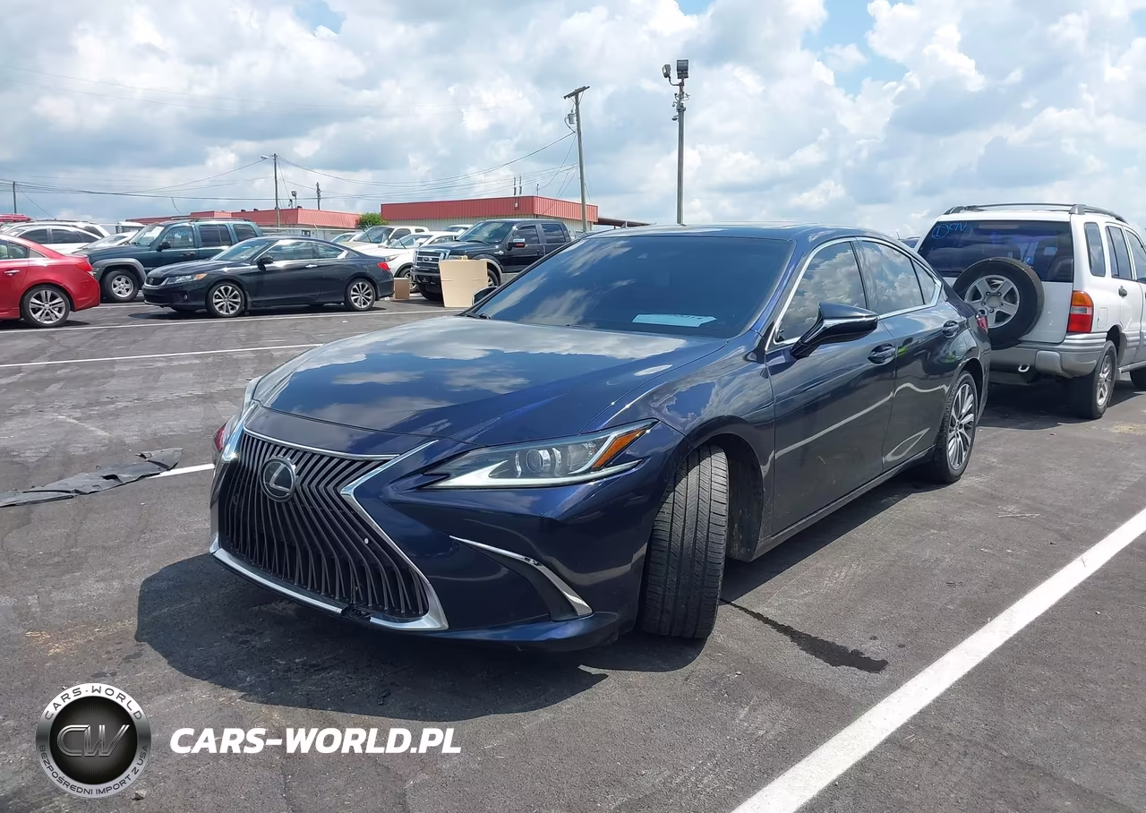 2021 Lexus Es 250 VIN:58AD11D1XMU002087 - 6