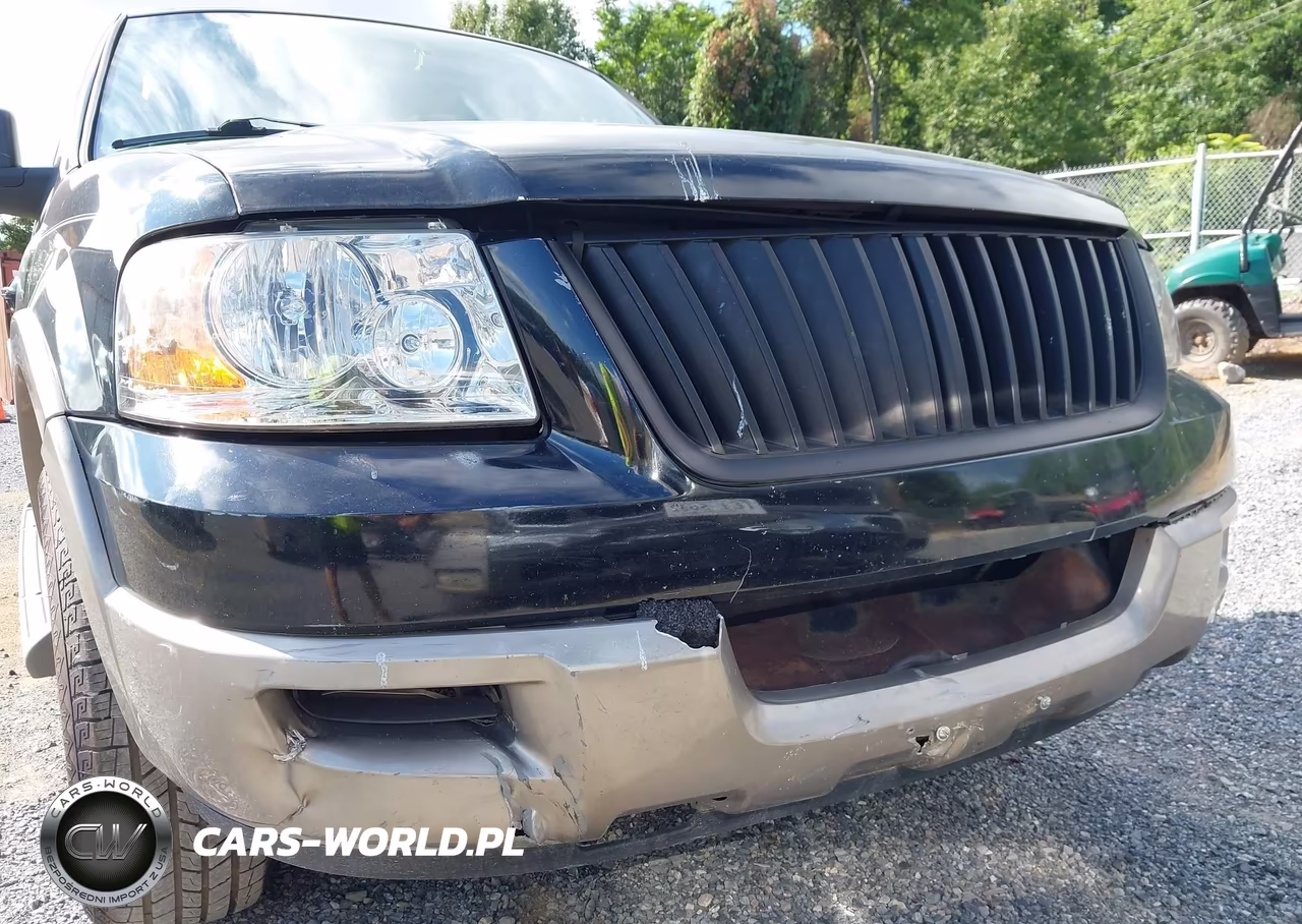 2003 Ford Expedition Eddie Bauer VIN:1FMFU17L23LC40976 - 13