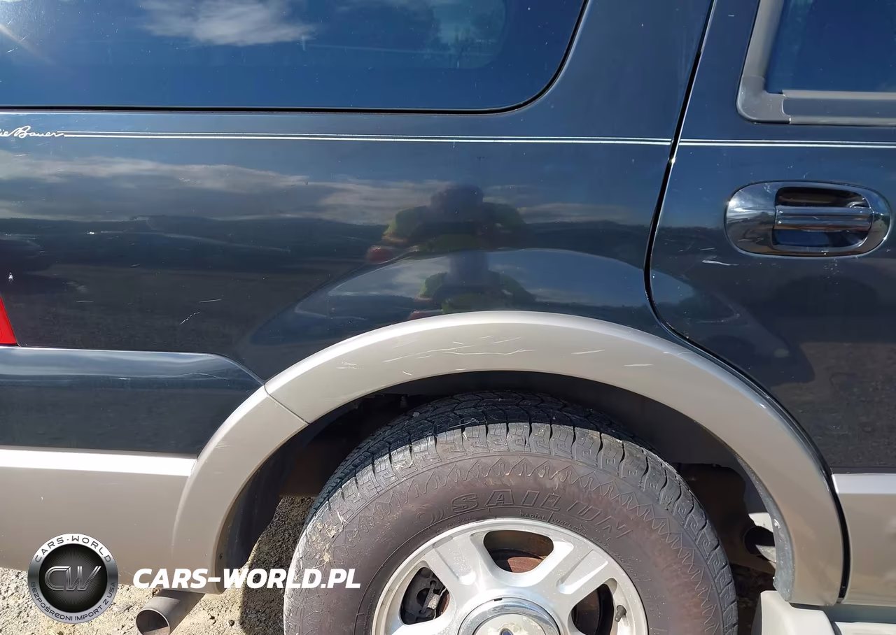 2003 Ford Expedition Eddie Bauer VIN:1FMFU17L23LC40976 - 15