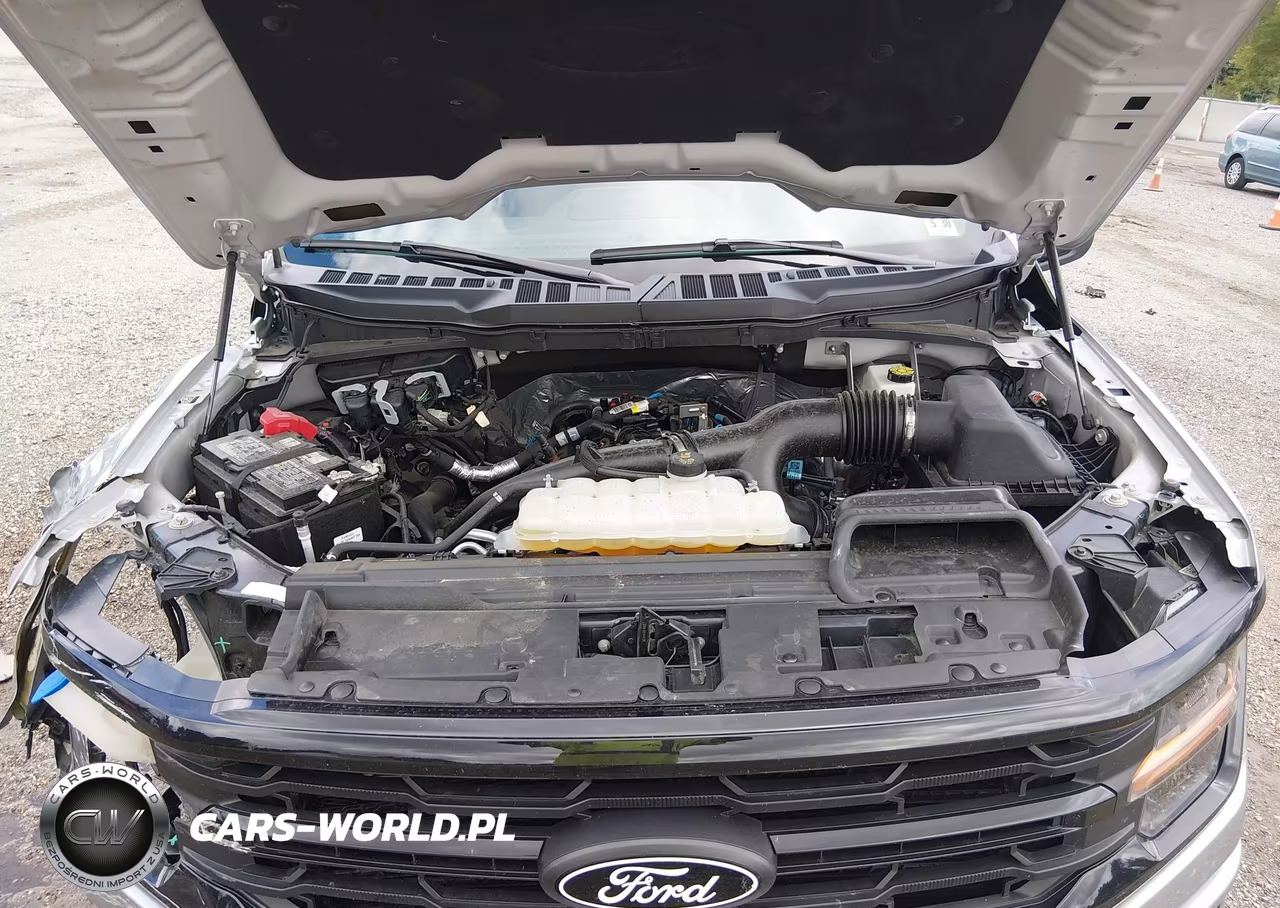 2025 Ford F-150 Xlt VIN:1FTEW3LP8SKD61207 - 10
