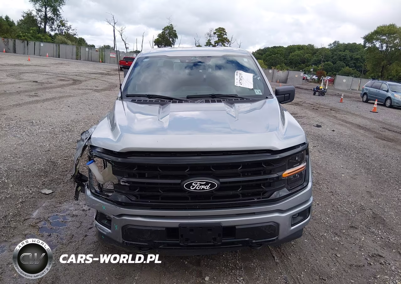 2025 Ford F-150 Xlt VIN:1FTEW3LP8SKD61207 - 13