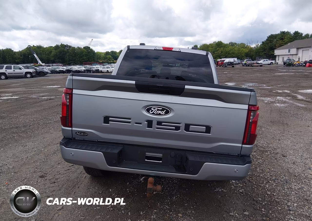 2025 Ford F-150 Xlt VIN:1FTEW3LP8SKD61207 - 17