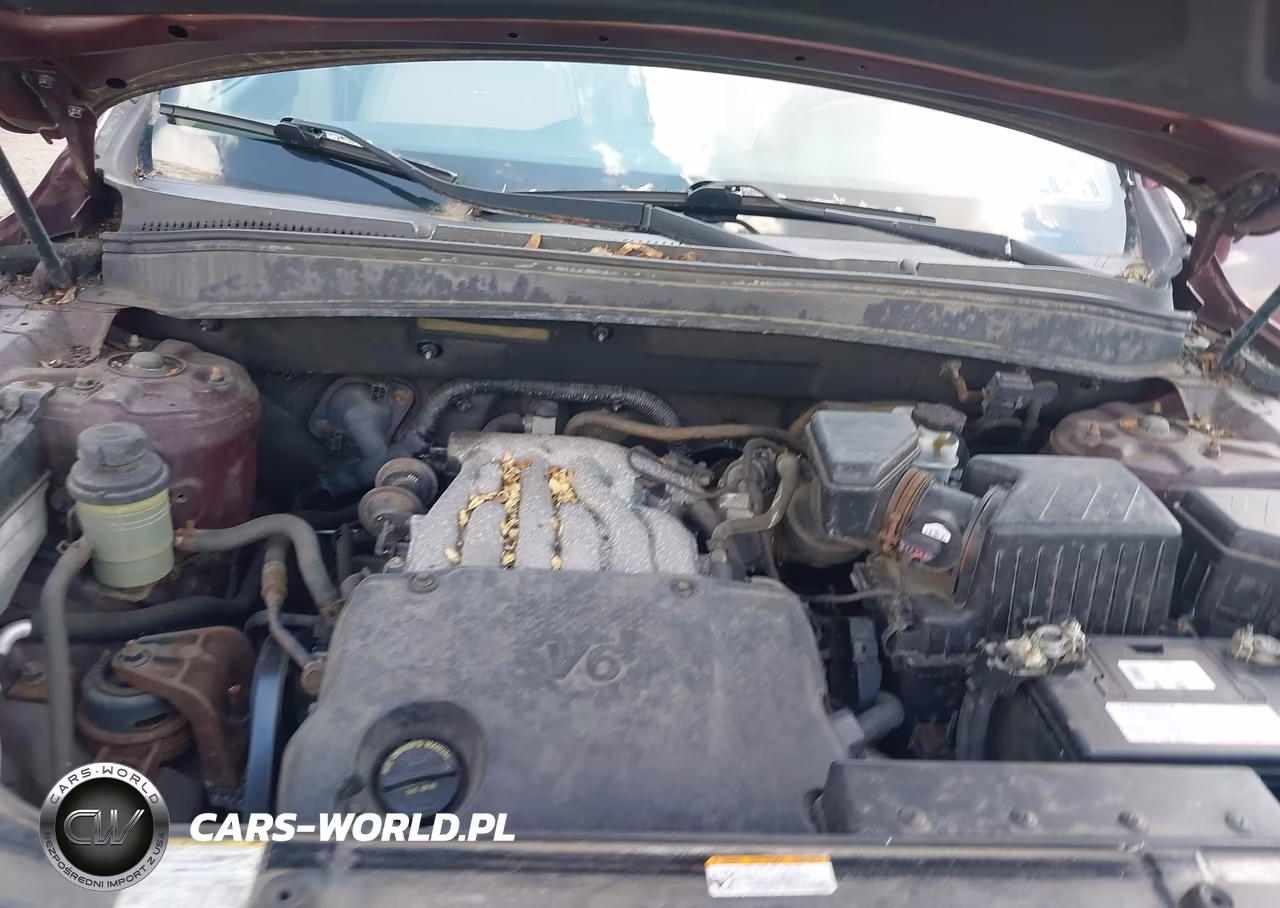 2009 Hyundai Santa Fe Gls VIN:5NMSG73D79H282940 - 10
