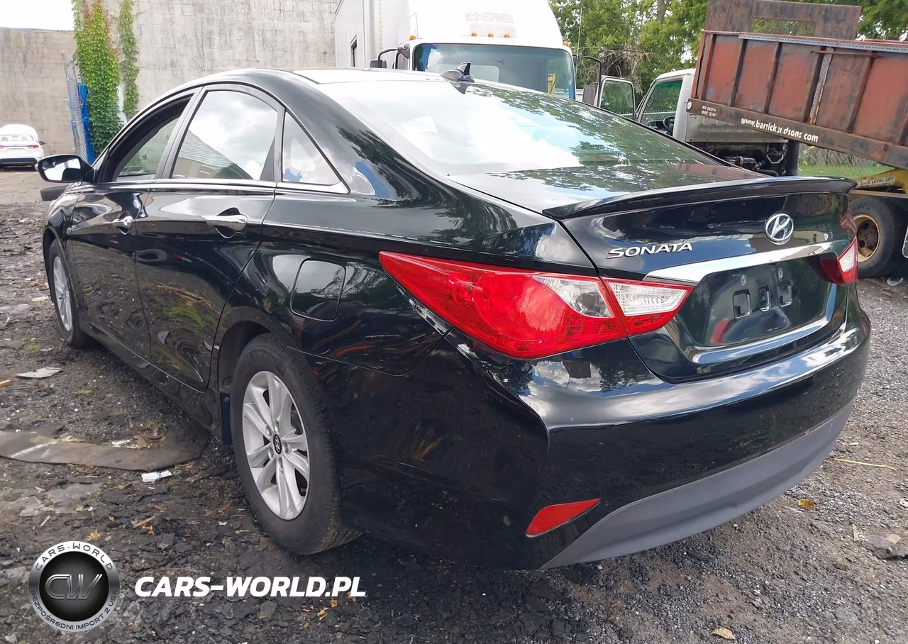2014 Hyundai Sonata Gls VIN:5NPEB4AC9EH839560 - 17