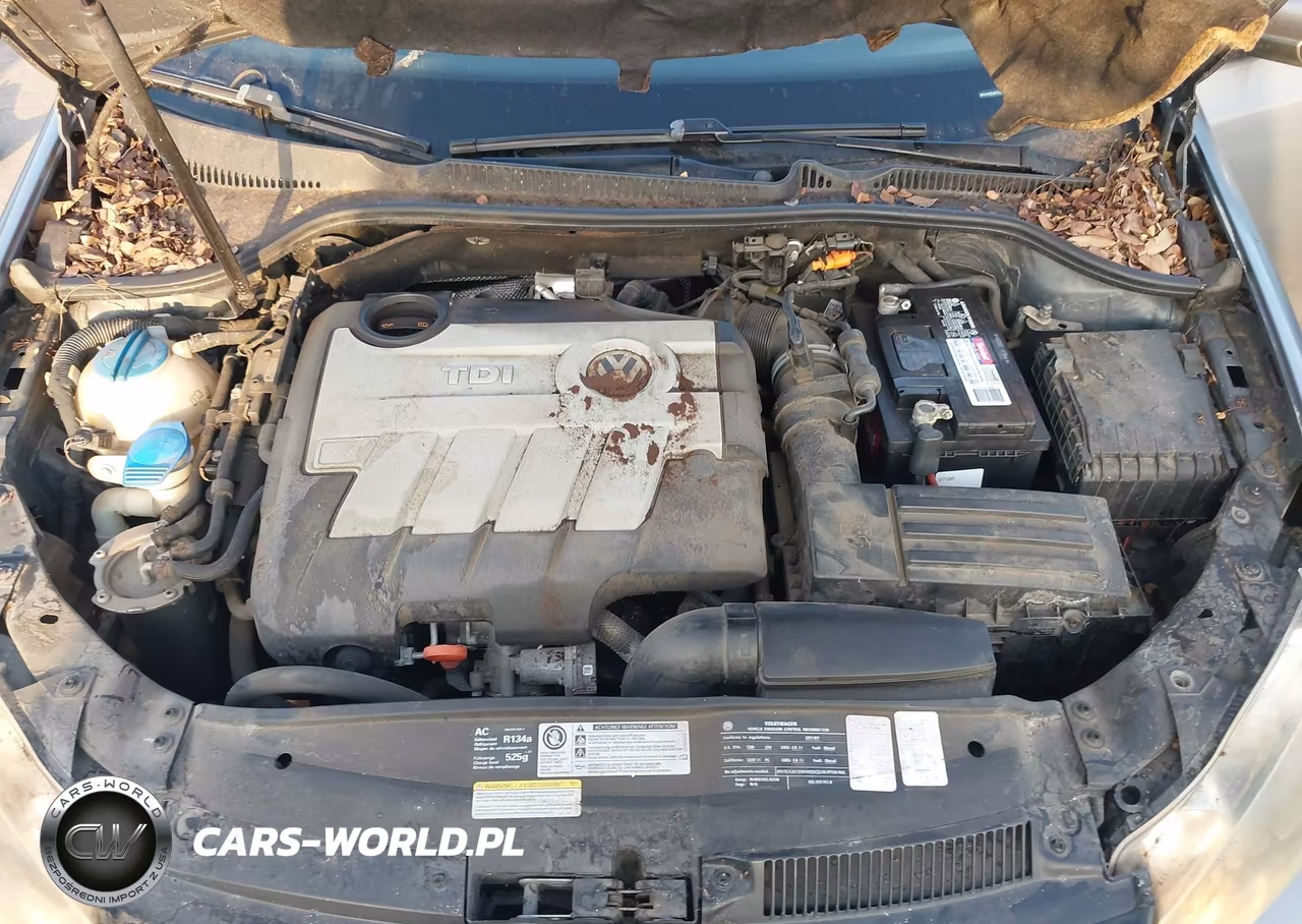 2011 Volkswagen Golf VIN:WVWDM7AJ0BW074976 - 10