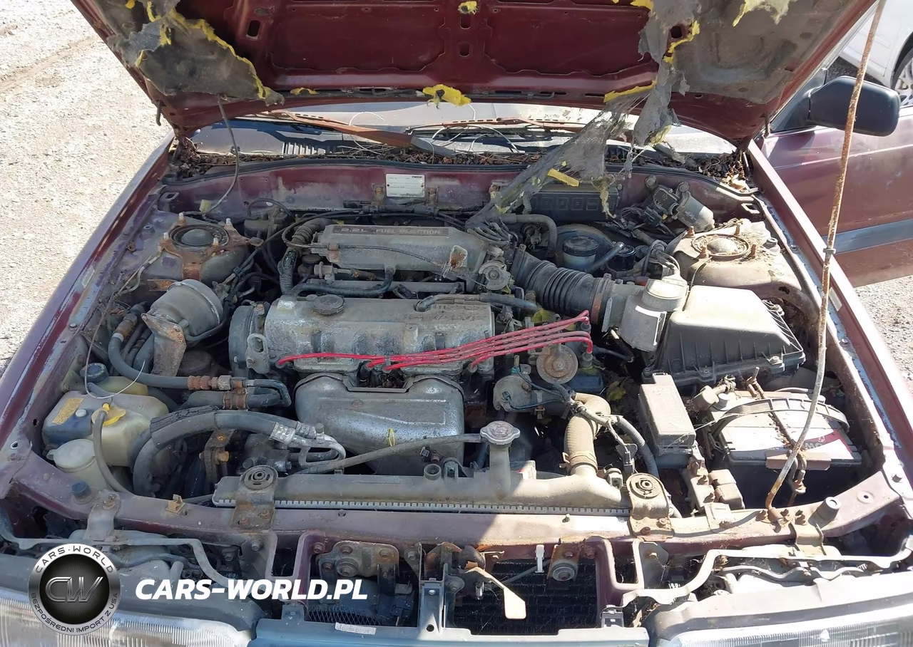 1989 Mazda 626 VIN:JM1GD2224K1725479 - 10