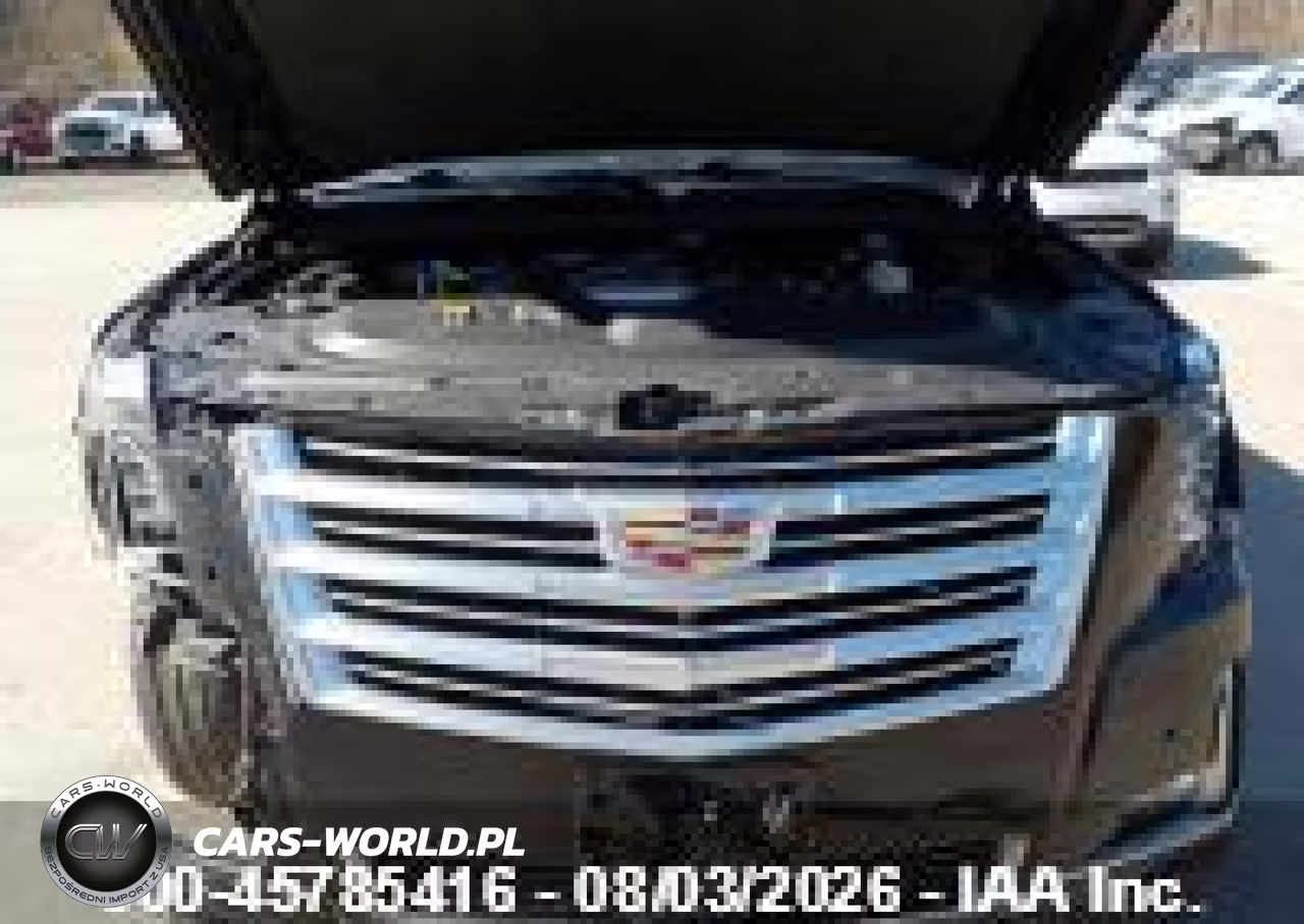 2016 Cadillac Escalade Esv Platinum VIN:1GYS4KKJ2GR187174 - 6
