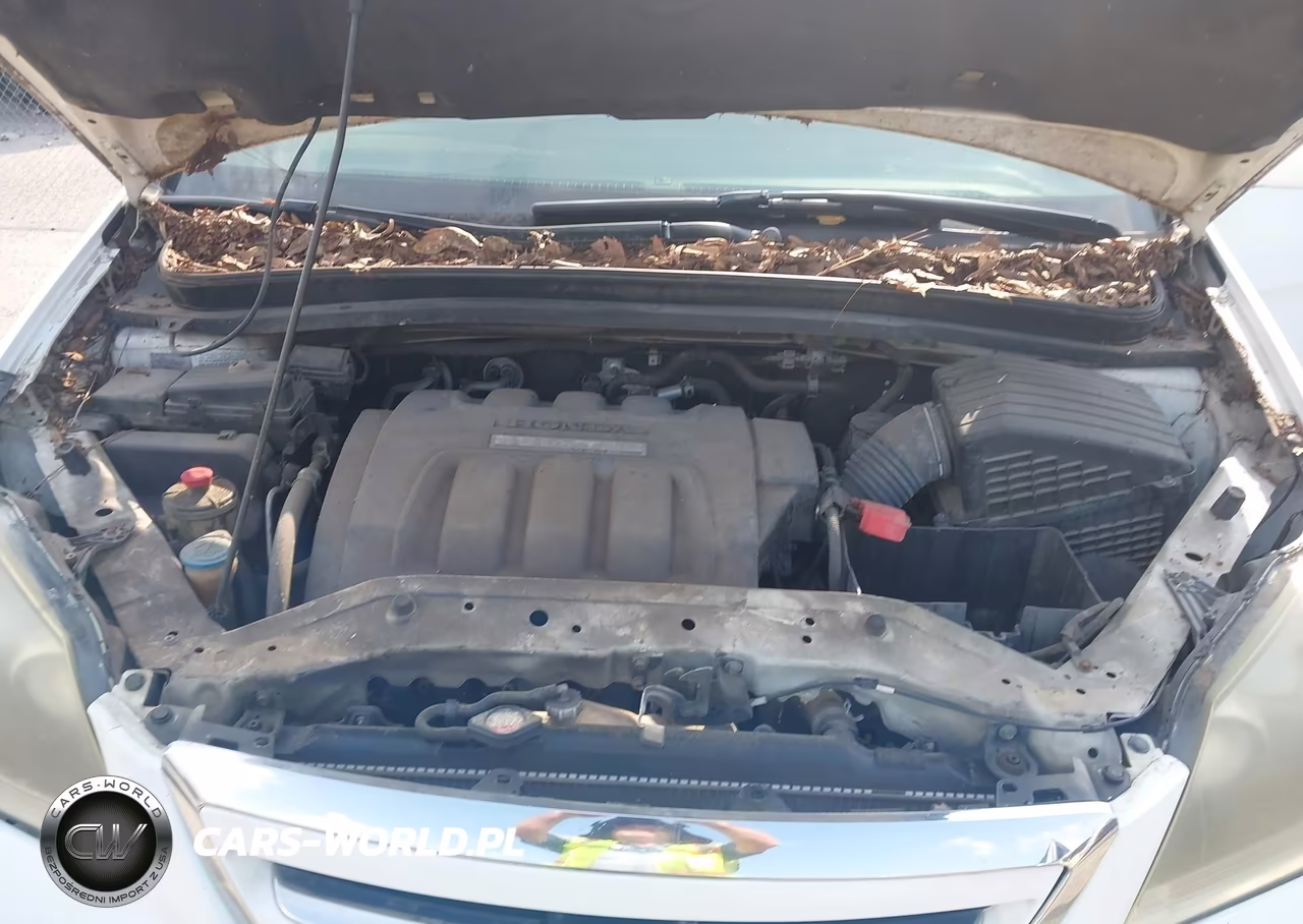 2006 Honda Odyssey Ex-L VIN:5FNRL38656B402518 - 10
