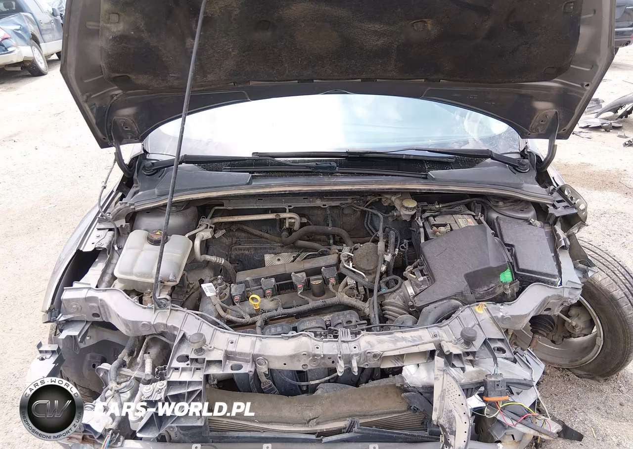 2014 Ford Focus Se VIN:1FADP3F24EL432769 - 10