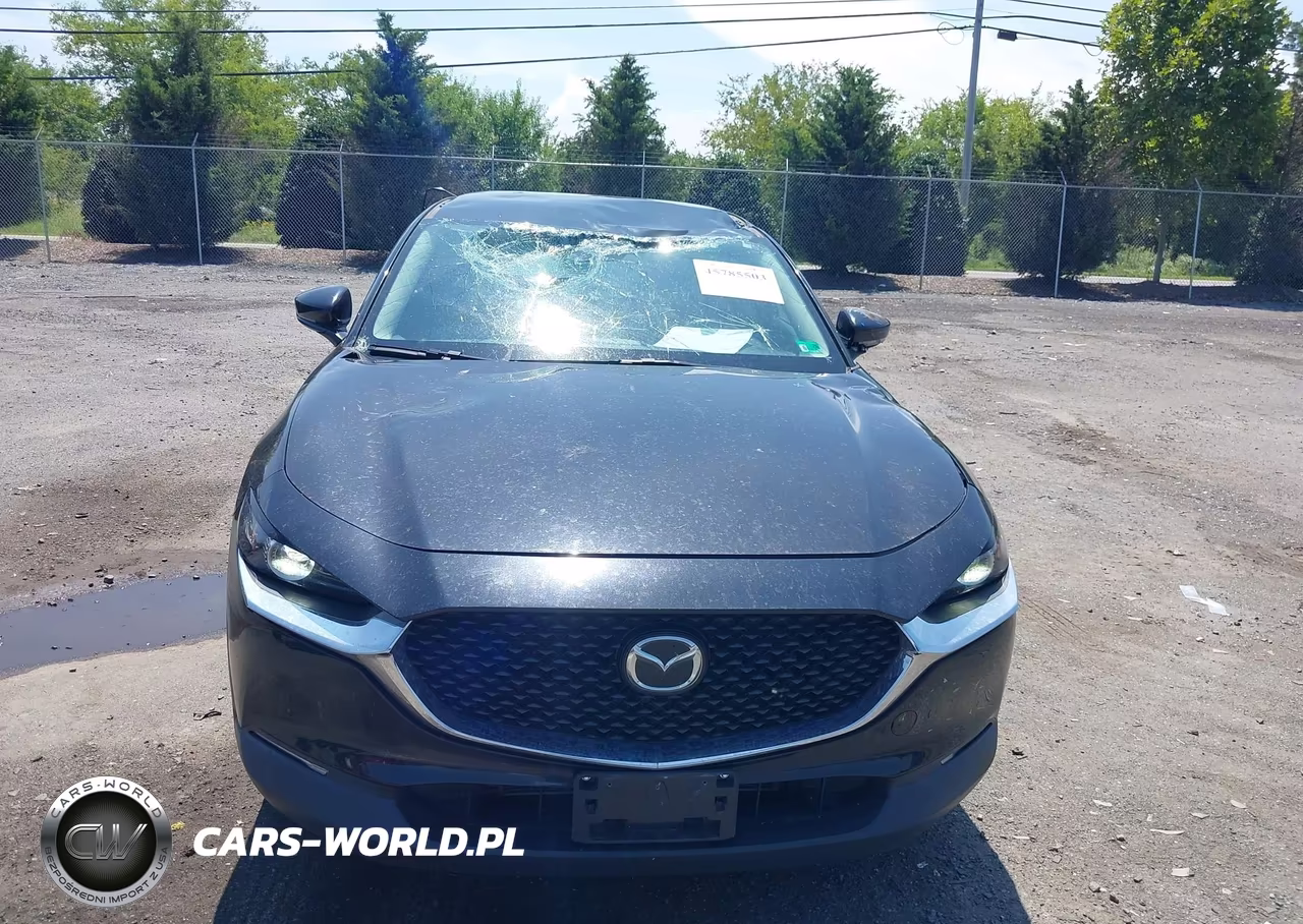 2021 Mazda Cx-30 Select VIN:3MVDMABL1MM309142 - 12