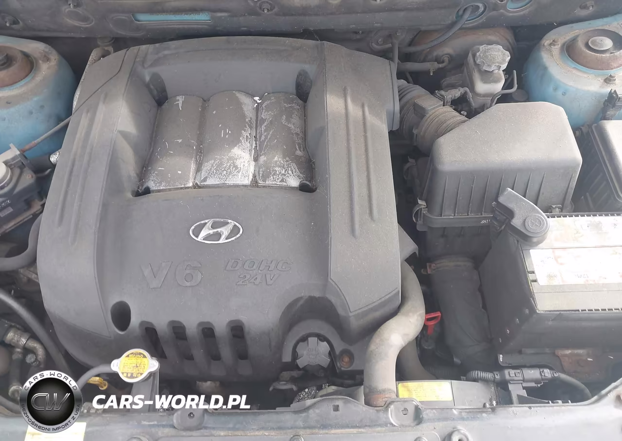 2003 Hyundai Santa Fe Gls-Lx VIN:KM8SC13D03U505470 - 10