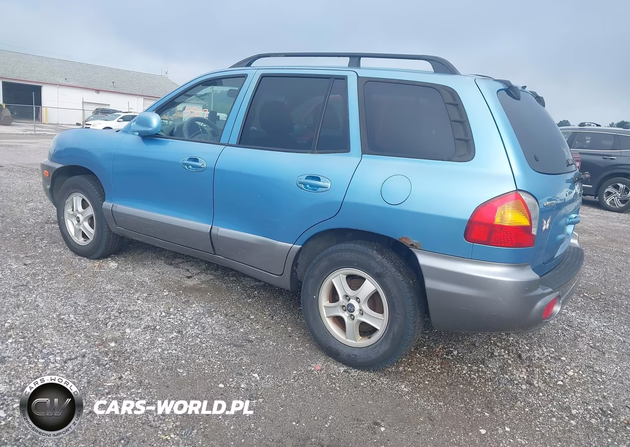 2003 Hyundai Santa Fe Gls-Lx VIN:KM8SC13D03U505470 - 3