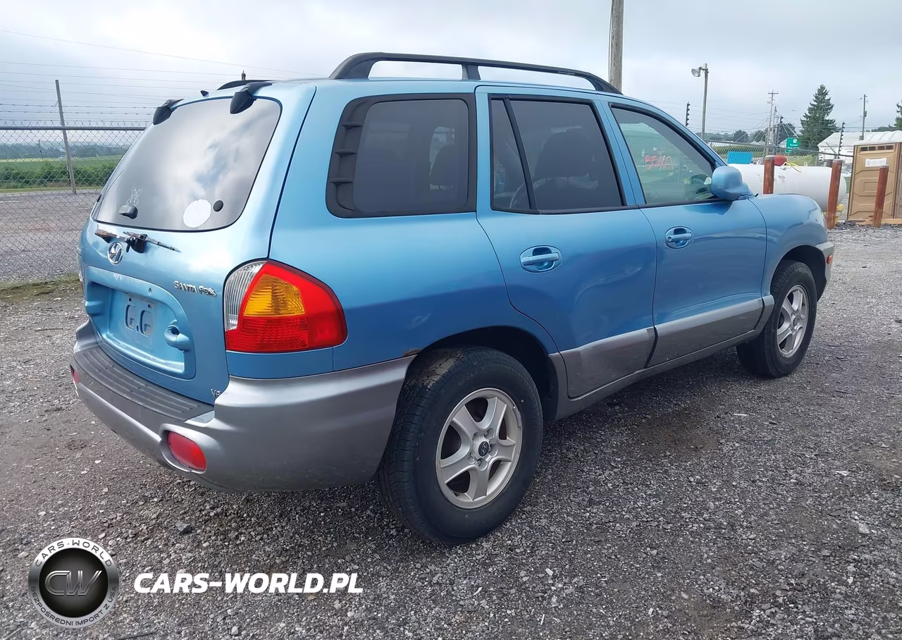 2003 Hyundai Santa Fe Gls-Lx VIN:KM8SC13D03U505470 - 4