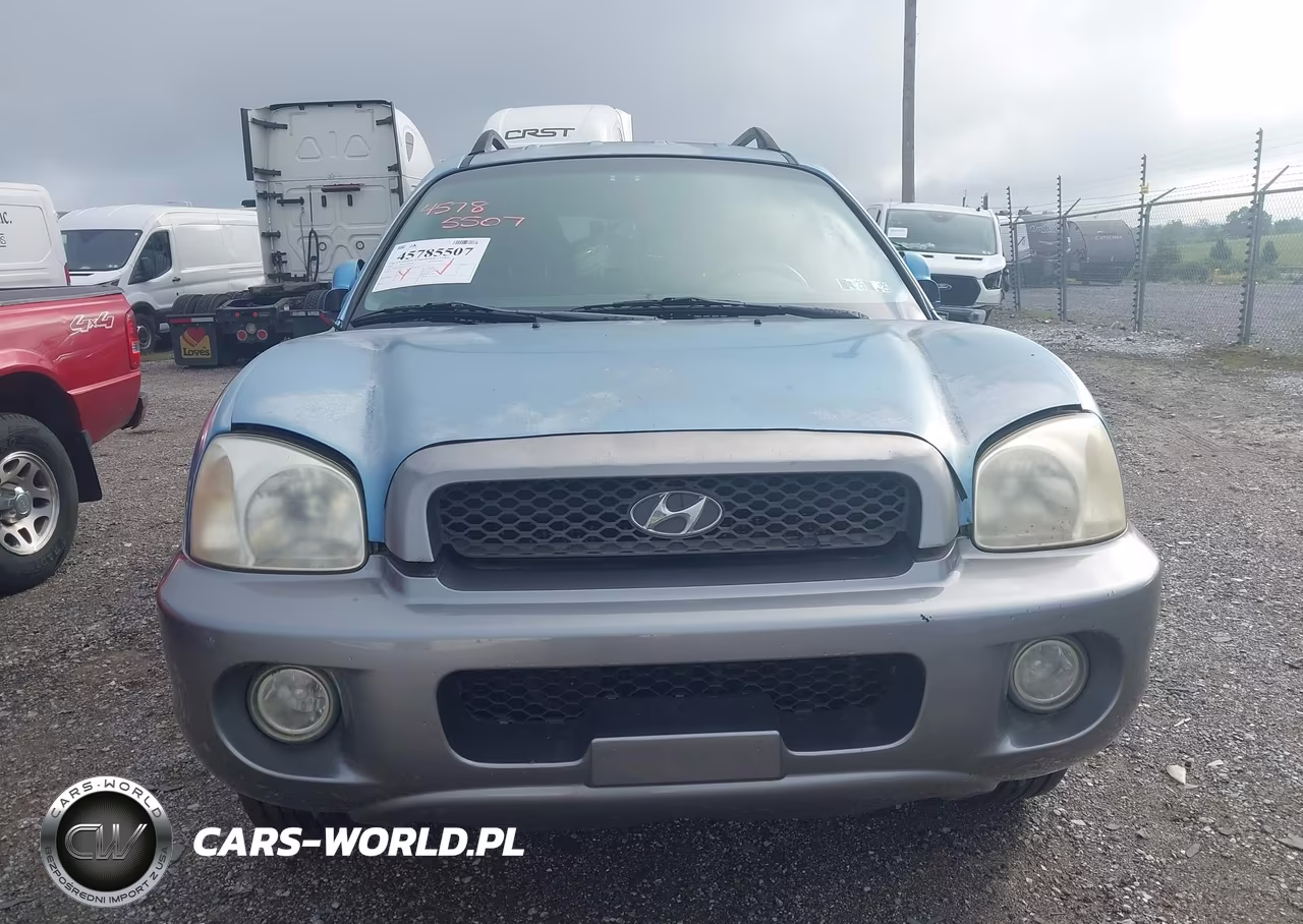 2003 Hyundai Santa Fe Gls-Lx VIN:KM8SC13D03U505470 - 6