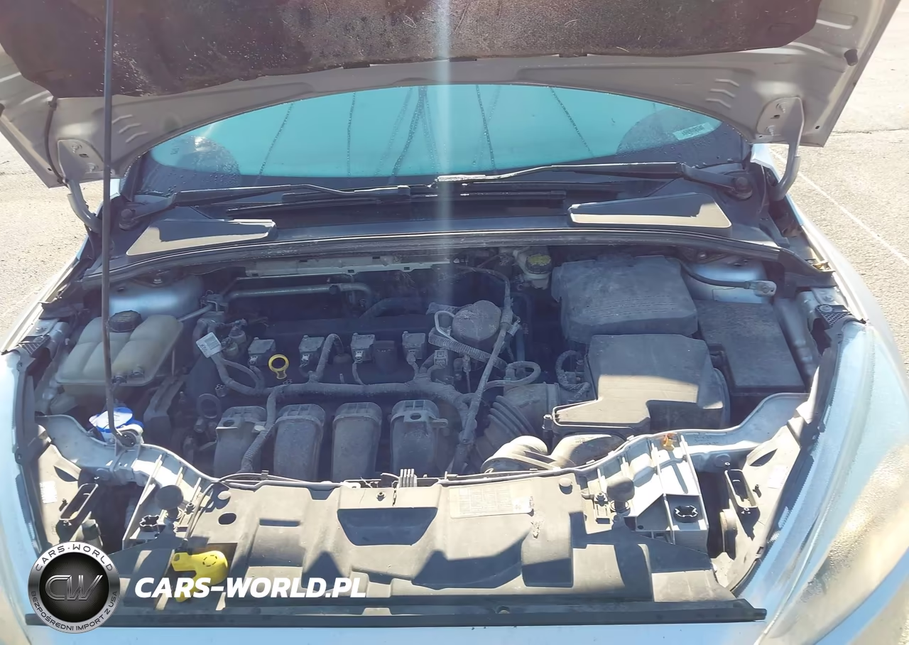 2016 Ford Focus Se VIN:1FADP3F20GL214315 - 10
