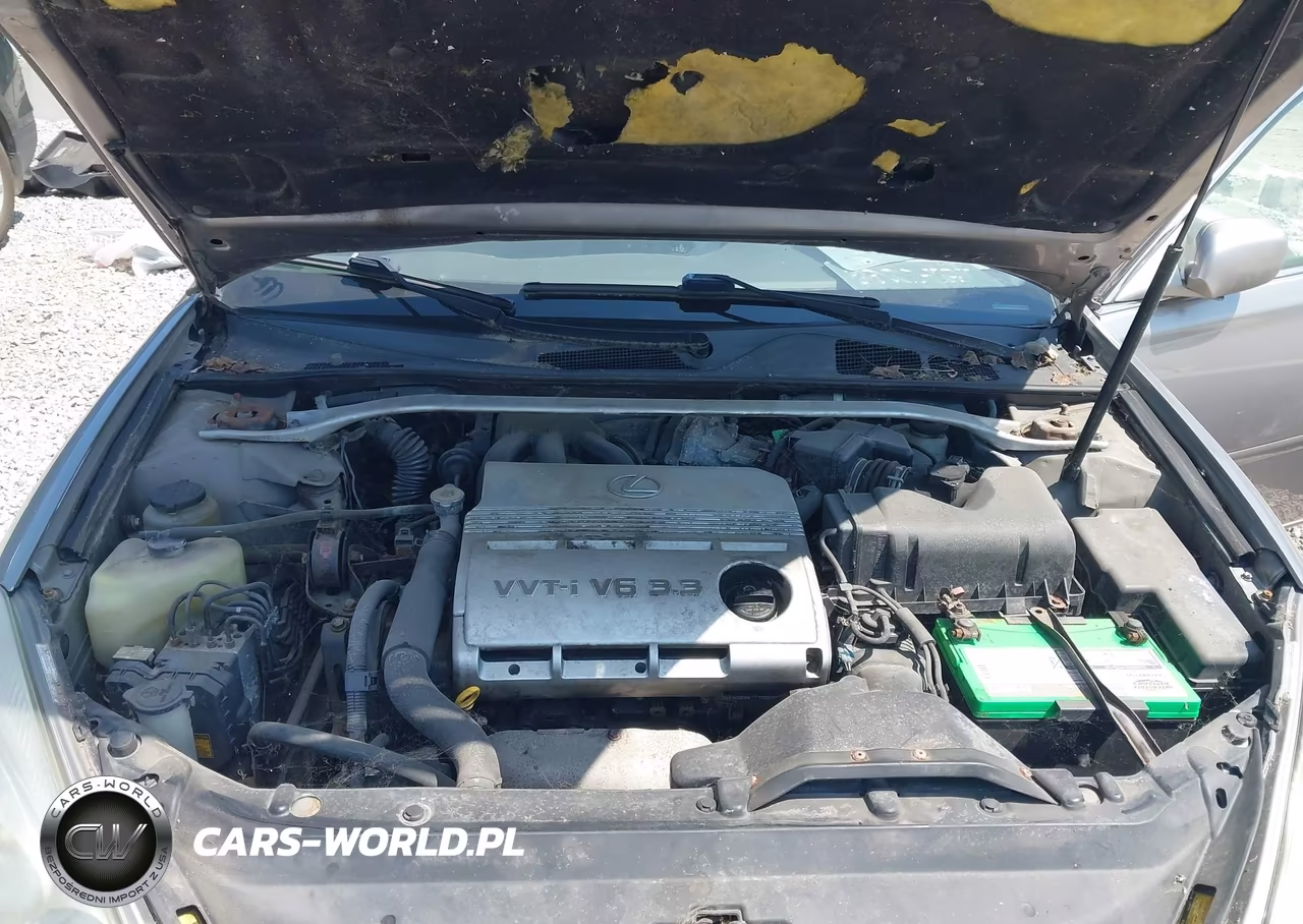 2004 Lexus Es 330 VIN:JTHBA30G145032709 - 10