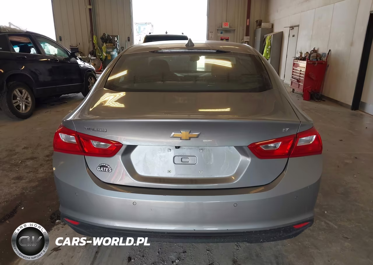 2024 Chevrolet Malibu Fwd 1Lt VIN:1G1ZD5ST8RF160260 - 16