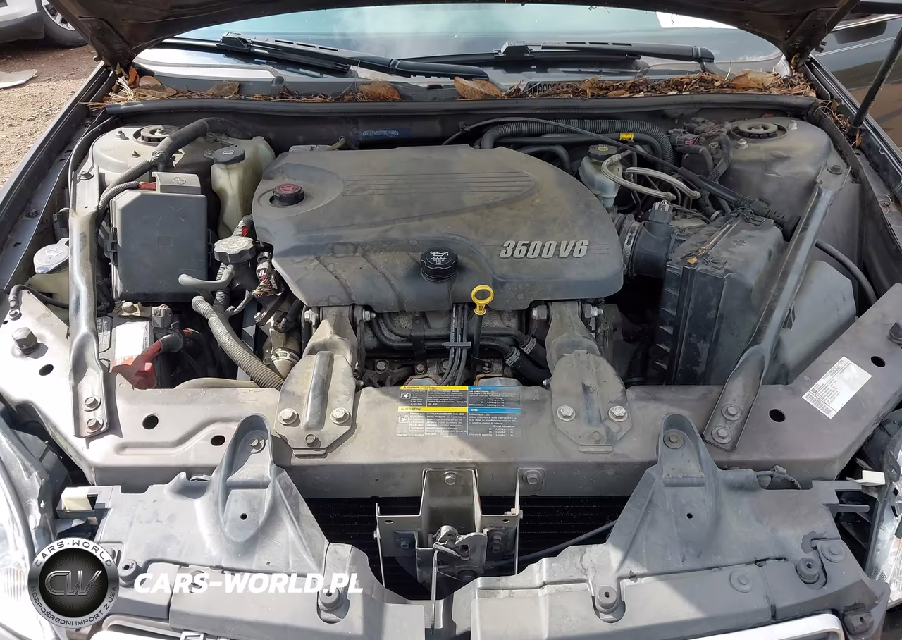 2009 Chevrolet Impala Lt VIN:2G1WT57K091119442 - 10