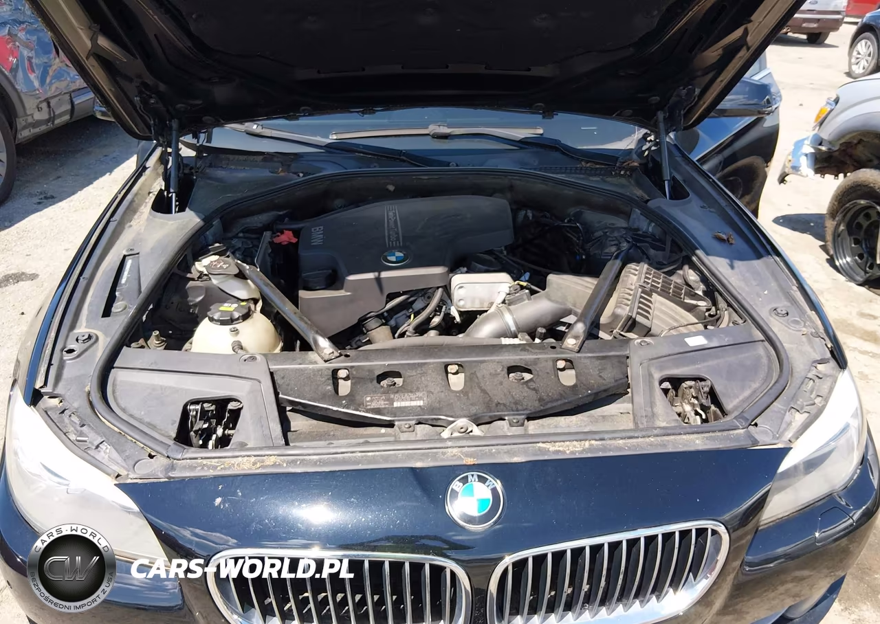2013 BMW 528I xDrive VIN:WBAXH5C55DD114910 - 10