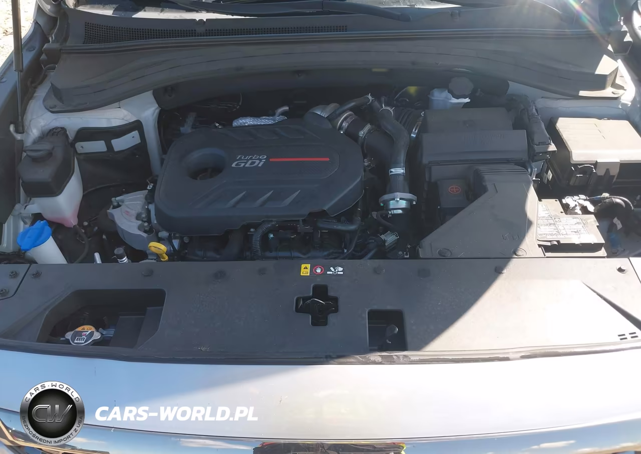 2020 Hyundai Santa Fe Limited 2.0T VIN:5NMS53AA2LH306169 - 10