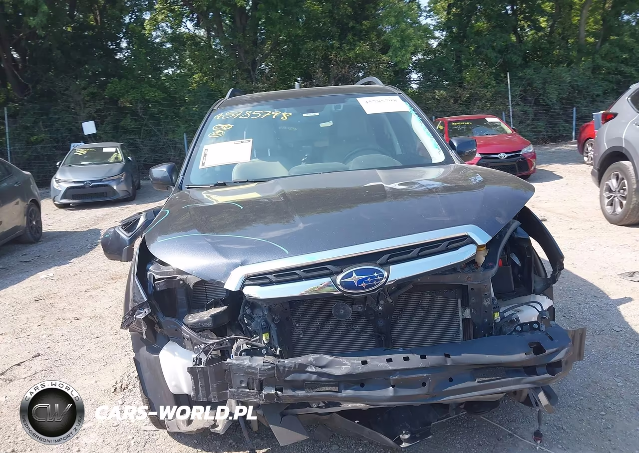 2018 Subaru Forester 2.5I Limited VIN:JF2SJARC3JH442249 - 13