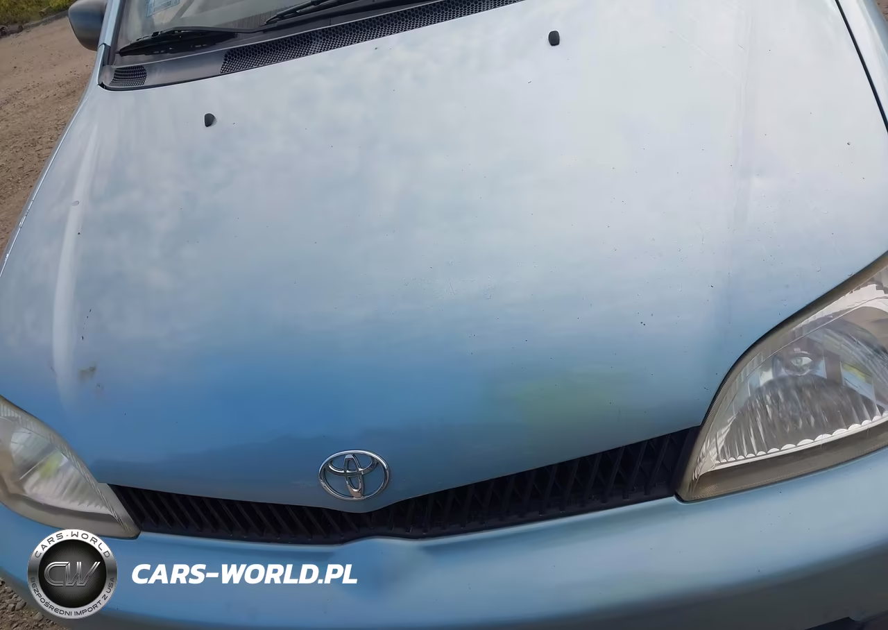 2000 Toyota Echo VIN:JTDBT1236Y0028393 - 10