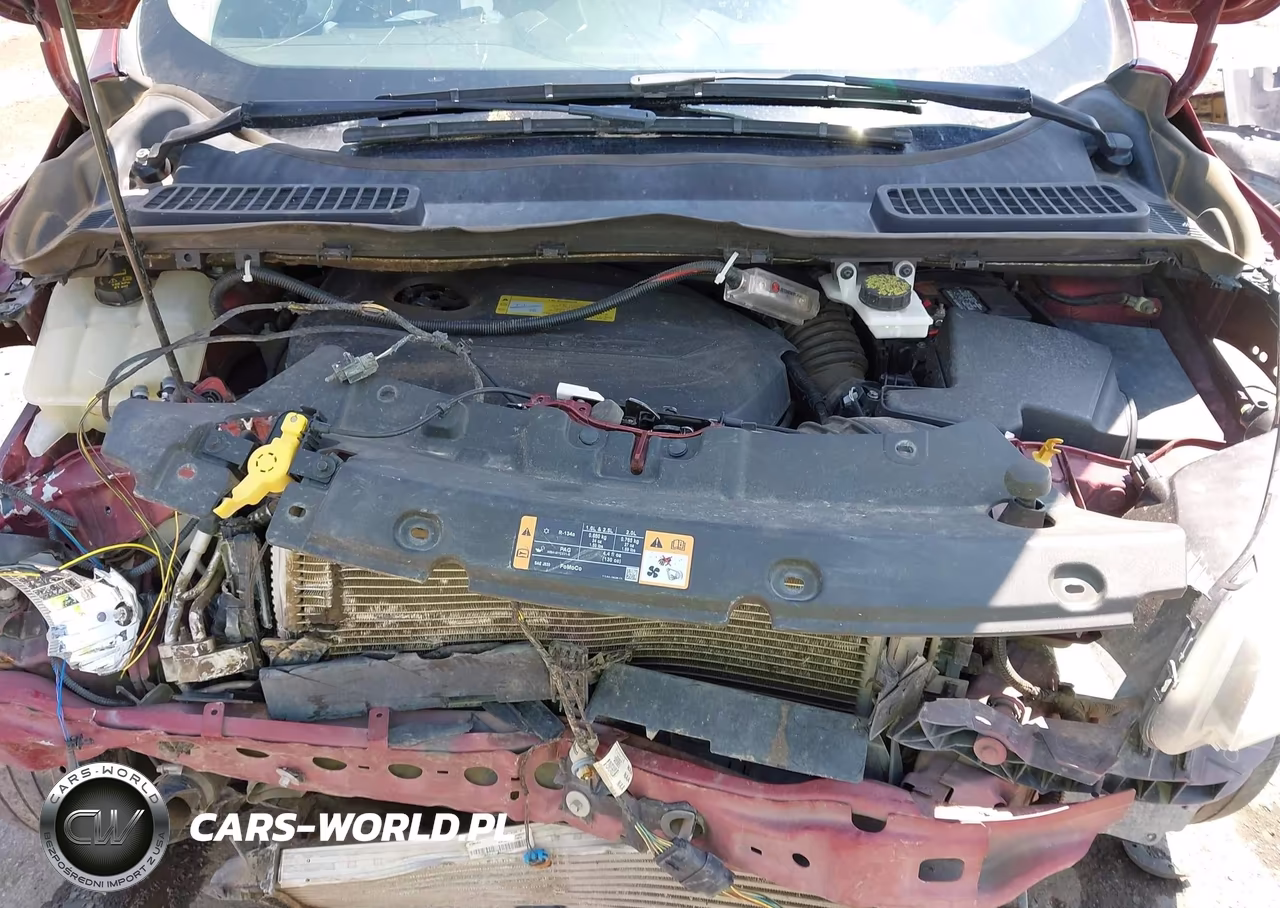 2014 Ford Escape Se VIN:1FMCU0GX2EUA62581 - 10