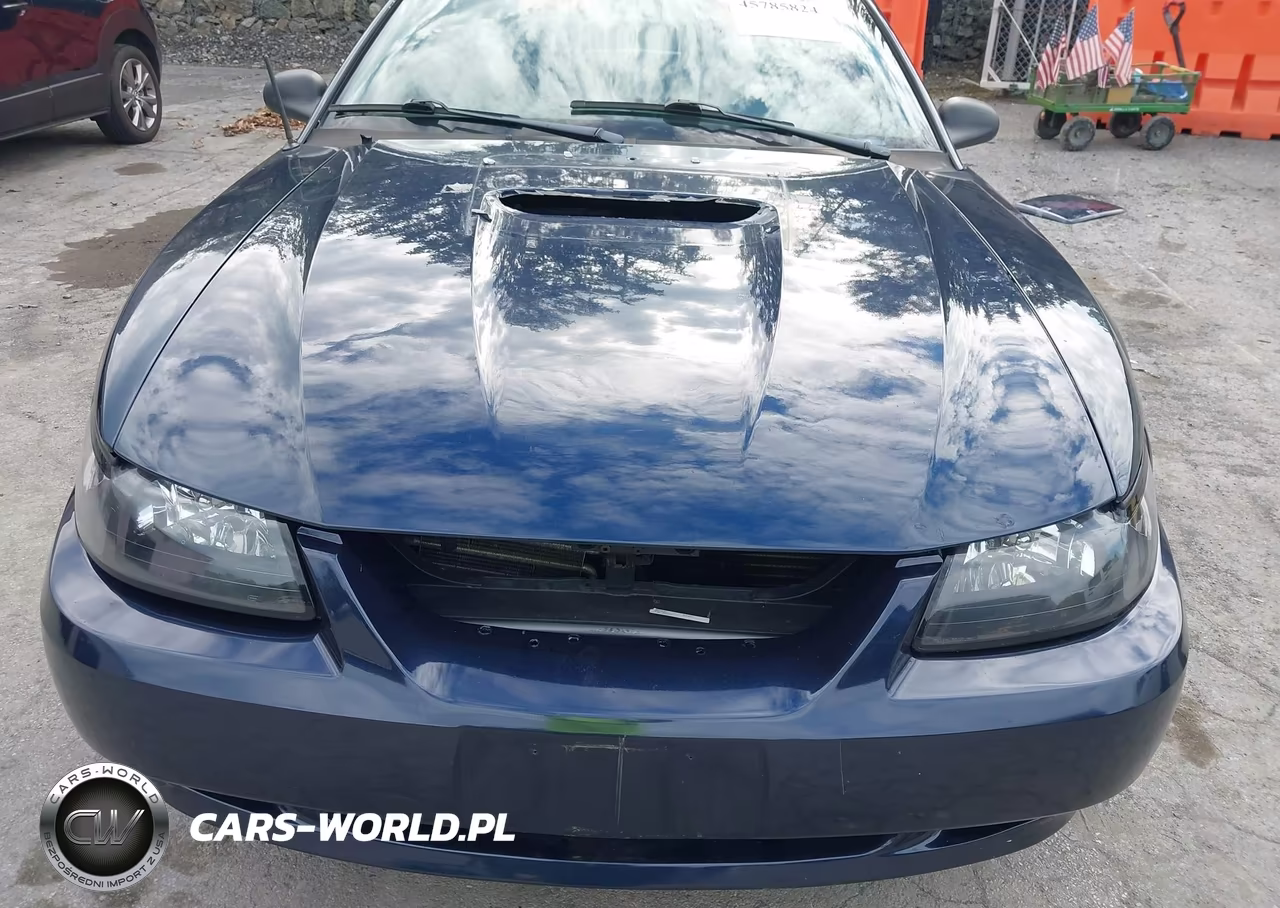 2001 Ford Mustang Gt VIN:1FAFP45X31F195227 - 6