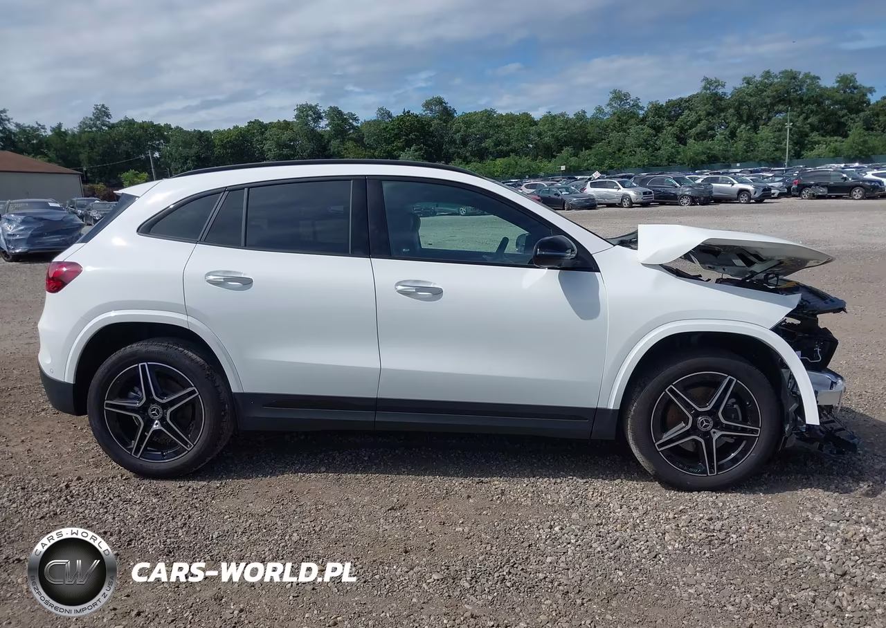 2026 Mercedes-Benz Gla 250 4Matic VIN:W1N4N4HB8TJ864804 - 13