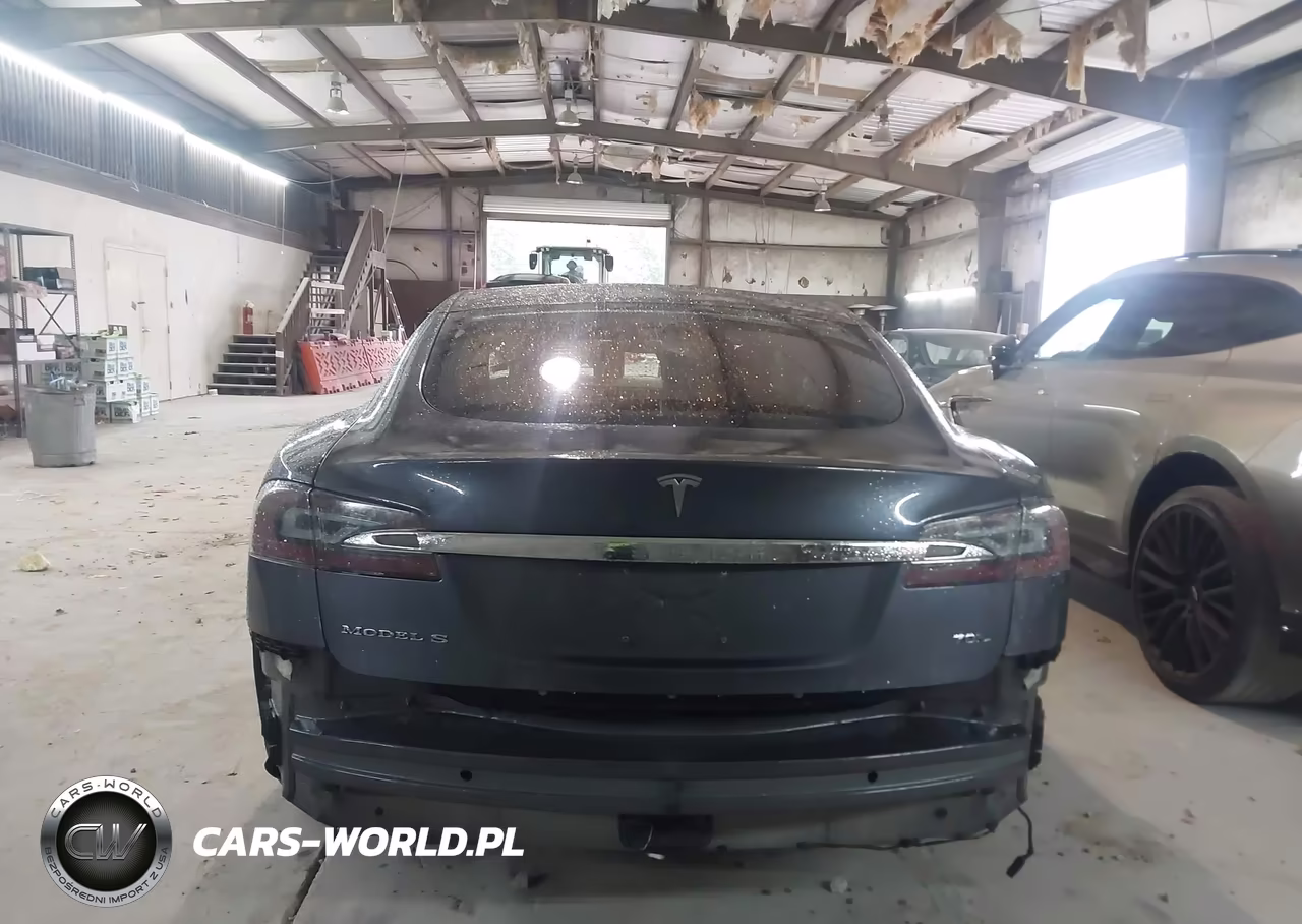 2016 Tesla Model S 60D-70D-75D-85D-90D VIN:5YJSA1E20GF136808 - 15