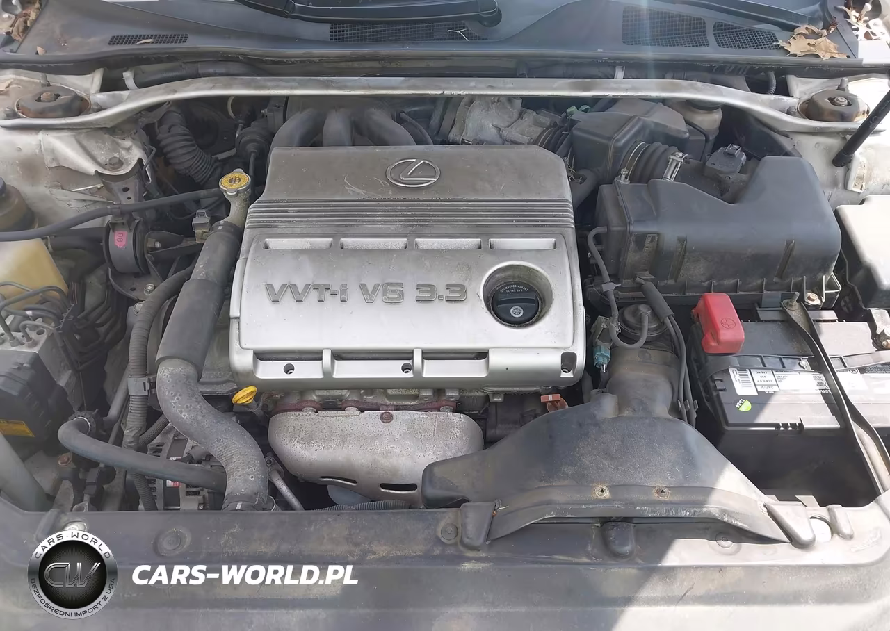 2004 Lexus Es 330 VIN:JTHBA30G045021264 - 10