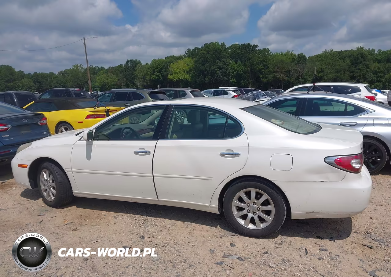 2004 Lexus Es 330 VIN:JTHBA30G045021264 - 14