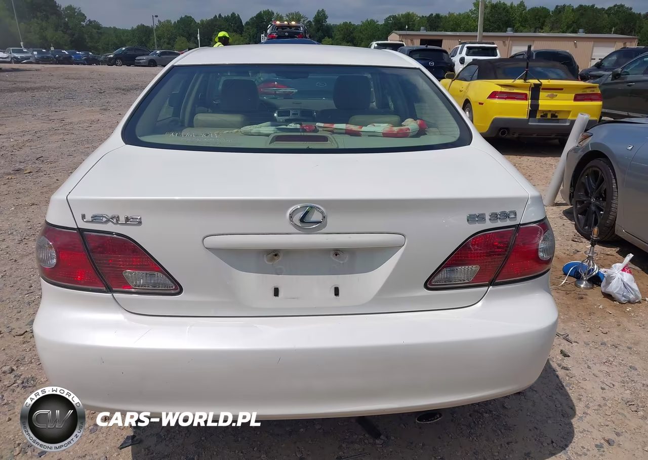2004 Lexus Es 330 VIN:JTHBA30G045021264 - 16