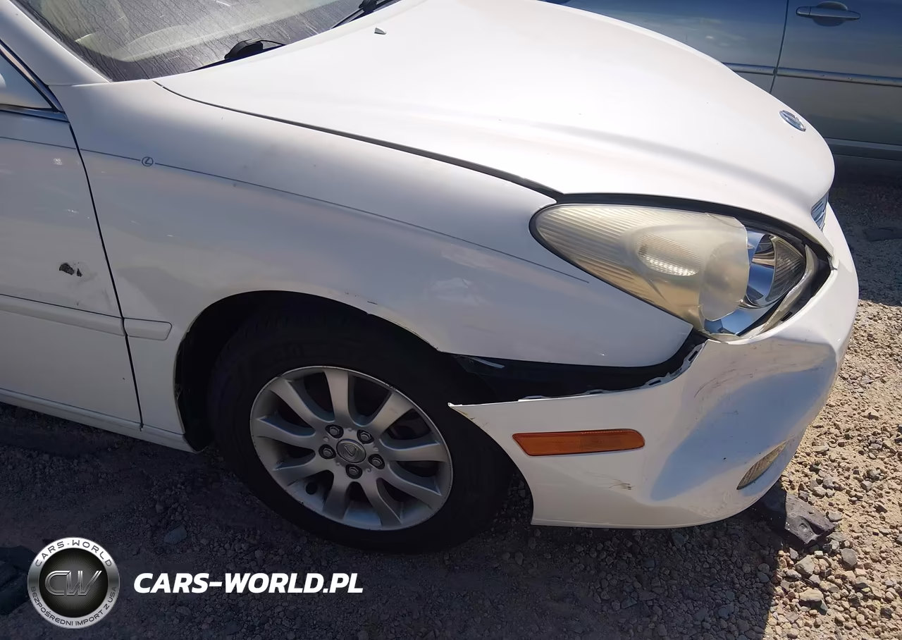 2004 Lexus Es 330 VIN:JTHBA30G045021264 - 17