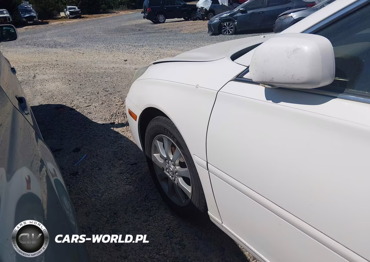 2004 Lexus Es 330 VIN:JTHBA30G045021264 - 20