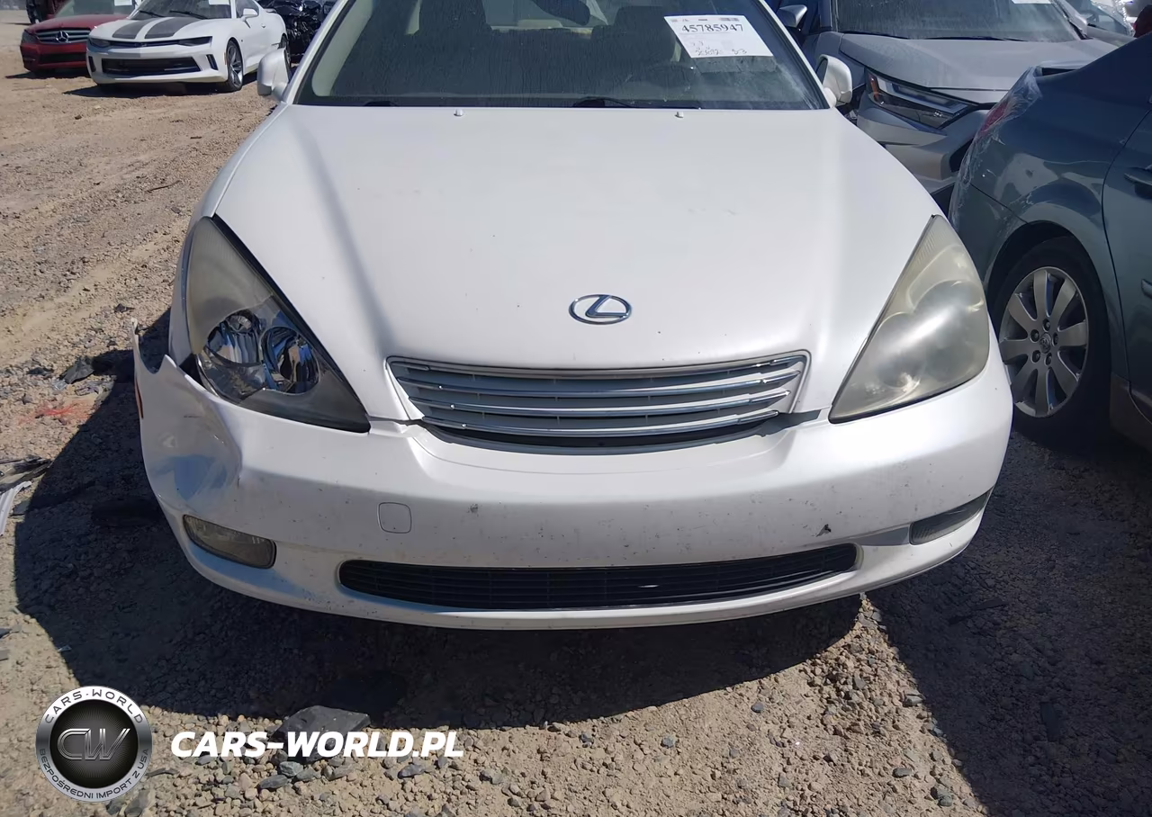 2004 Lexus Es 330 VIN:JTHBA30G045021264 - 6
